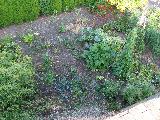 garden_patch_aerial