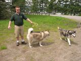 mose_and_the_pups_1600 mose_and_the_pups_1600