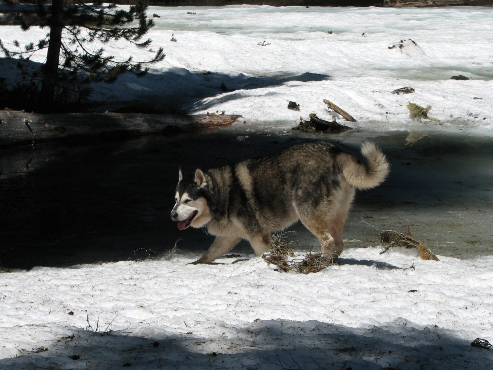 25_Happy_tag_on_frozen_pond