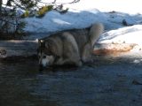 26 Princess enjoys fresh cold water 26 Princess enjoys fresh cold water