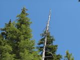 31 Clear skies in the high country 31 Clear skies in the high country