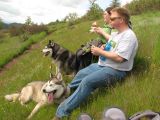 Pisgah_puppies-Break_time
