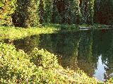 IMG_3155